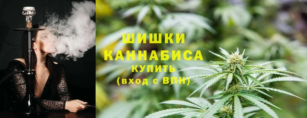 спиды Бородино