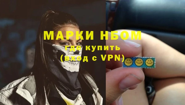 спиды Бородино
