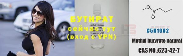 мдпв Гусев