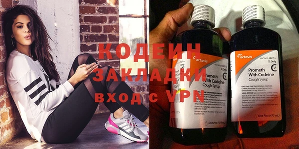 спиды Бородино