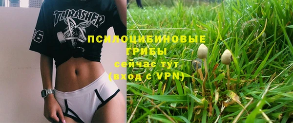 винт Бронницы
