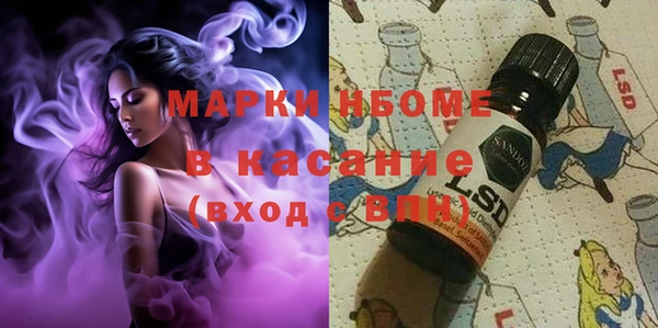 спиды Бородино