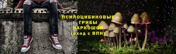 спиды Бородино