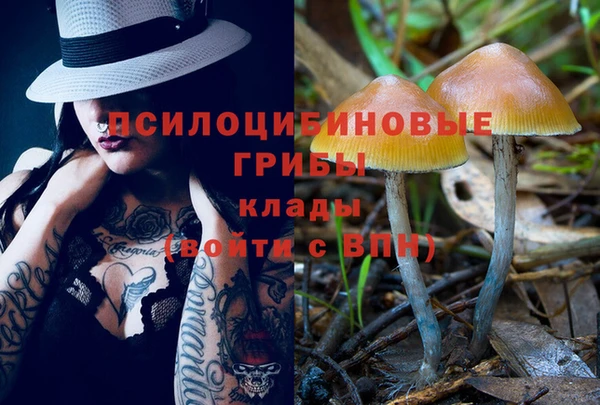 спиды Бородино