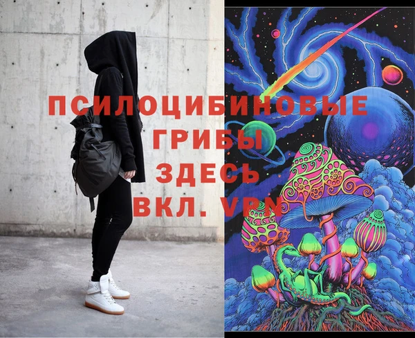 спиды Бородино