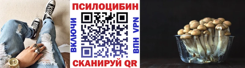 наркотики  Буй  Галлюциногенные грибы Cubensis 